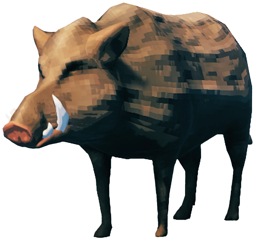 Boar Piggy