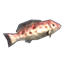 Grouper