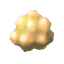CloudberryBush