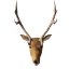 Deer icon
