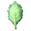 Kale icon