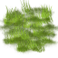 Grass icon