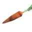 Carrot seedling icon