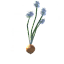 Seed-onion seedling icon