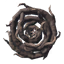 Shield of Roots icon
