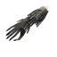 Fenring trophy