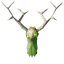 Greydwarf Shaman trophy icon