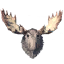 Moose Trophy icon