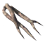 Writhan Roots icon